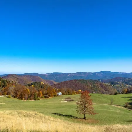 Tarovuk Chalet Zaovine