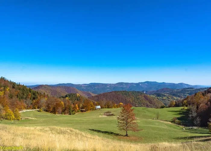 Tarovuk 샬레 Zaovine