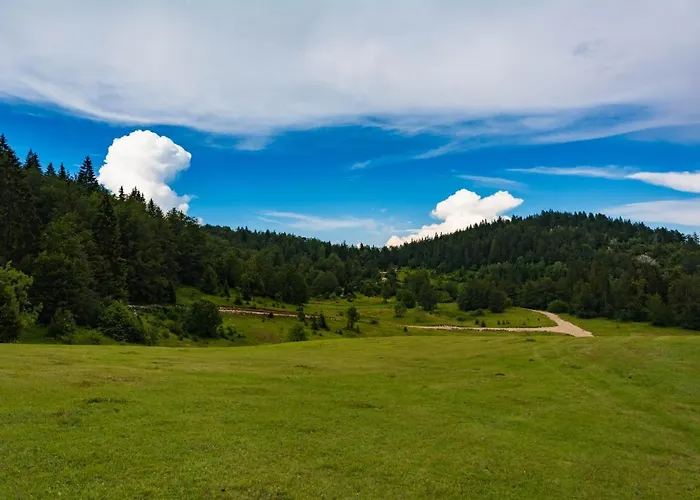 Tarovuk 샬레 Zaovine